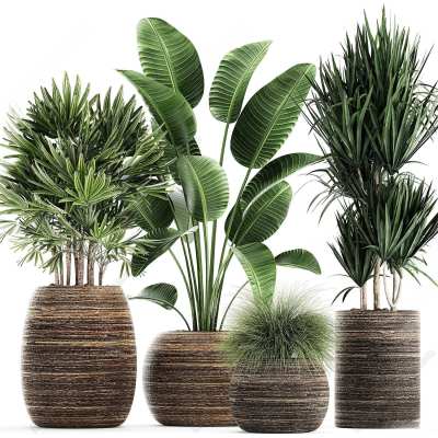 绿植盆栽3D模型下载